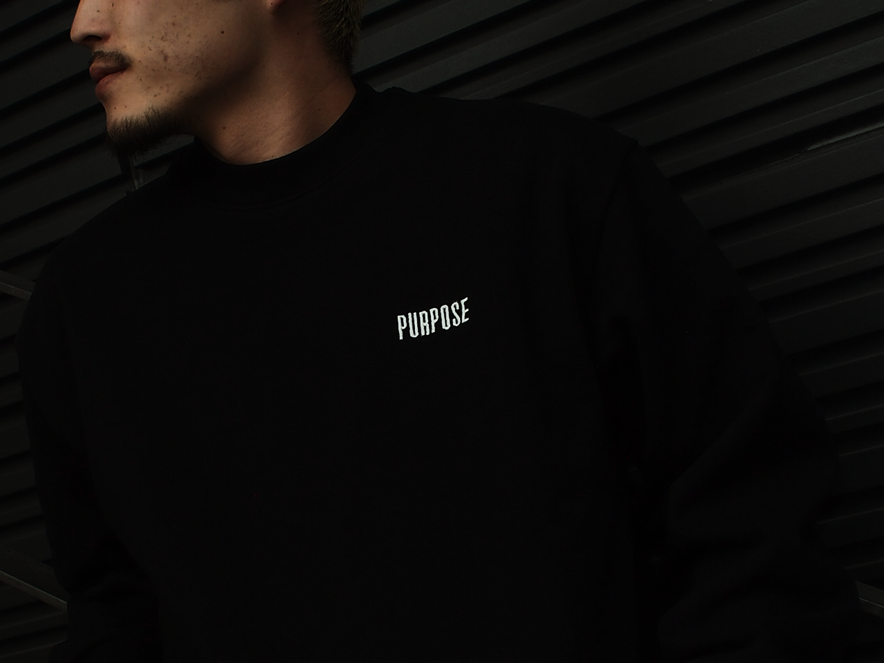 PCAA LOGO CREWNECK